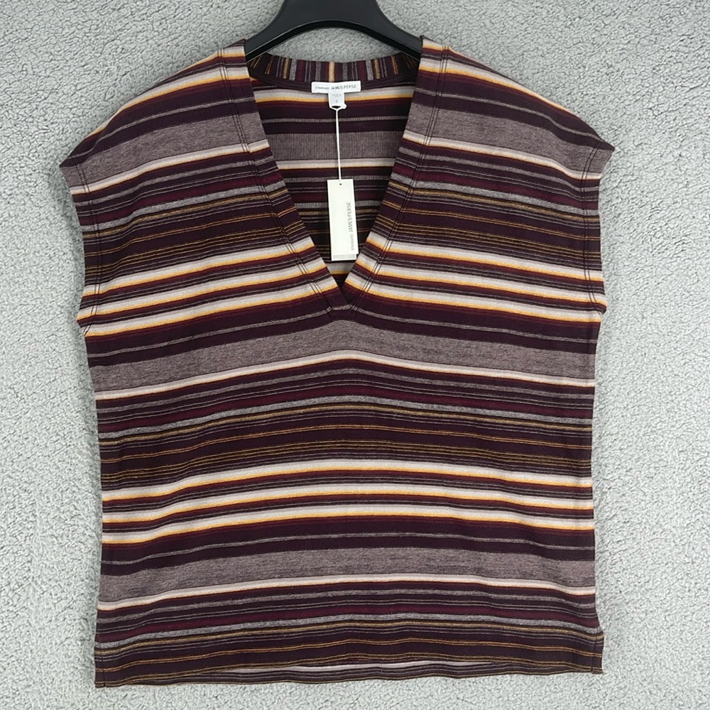 James Perse Soledad earth tone striped v-neck sleeveless men’s 2 vest shirt